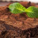 Deliciosa Receta de Torta de Chocolate y Menta: Un Placer para los Sentidos