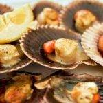 Receta de Vieiras a la Gallega con Pimentón: Un Exquisito Manjar del Mar