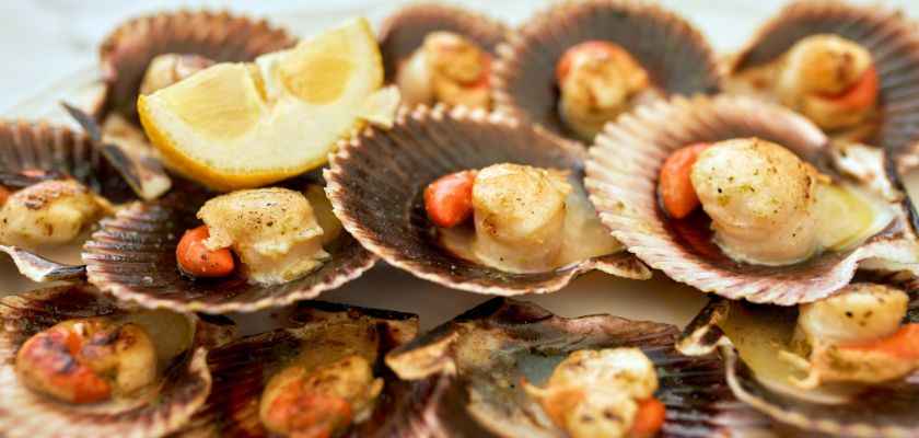 receta de vieiras a la gallega con pimenton - Receta de Vieiras a la Gallega con Pimentón: Un Exquisito Manjar del Mar
