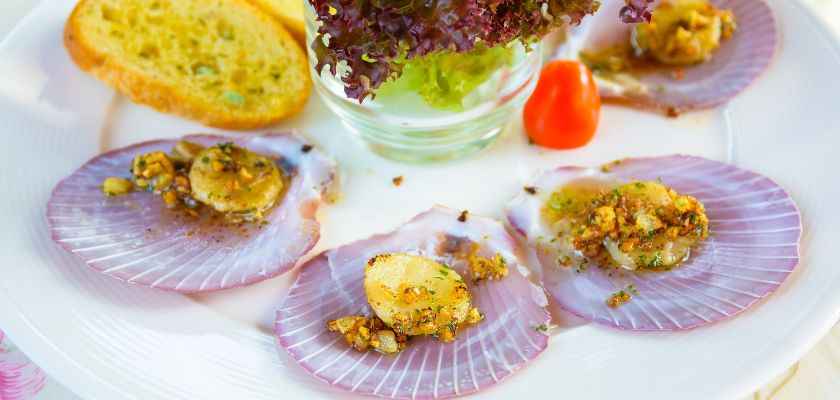 receta de vieiras bechamel - Receta de Vieiras con Bechamel: Una Deliciosa Combinación de Mariscos y Salsa Cremosa