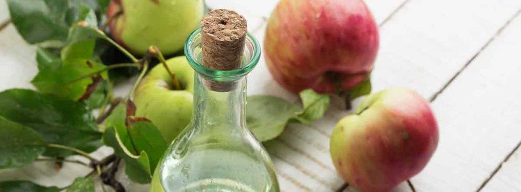 recetas de vinagre de manzana - Recetas de vinagre de manzana: beneficios para la salud y deliciosas preparaciones